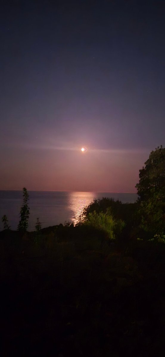 Peter Francken (@peter_francken) on Twitter photo 