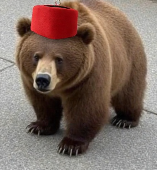 MoochieSquad's tweet photo. MBRS welcomes a new research bear to the pack. After being in training for a few months he has shown promise. MBRS is always looking for new recruits cuz we have to keep the Truth flowing. #MBRS #MWTV https://t.co/QN346KU342