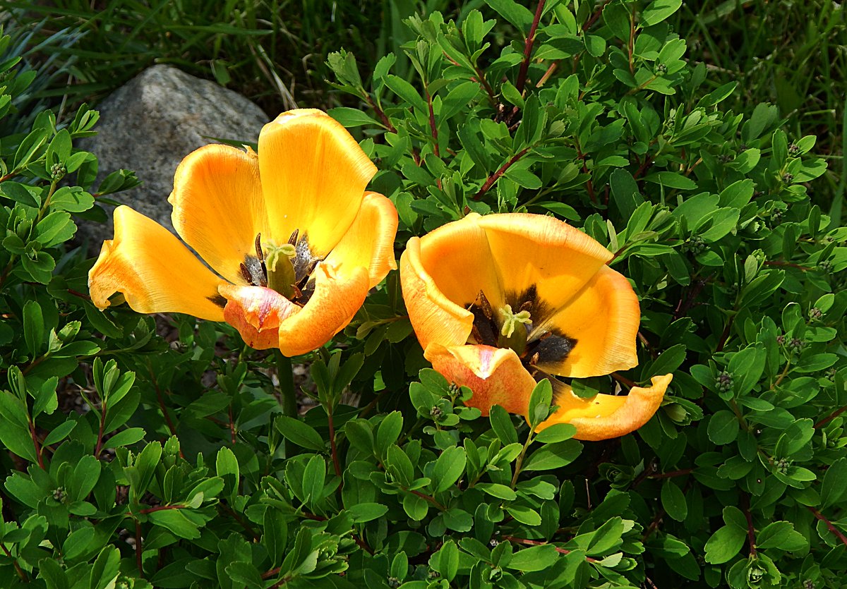 #Twosday
Tu es mon soleil ... .. .