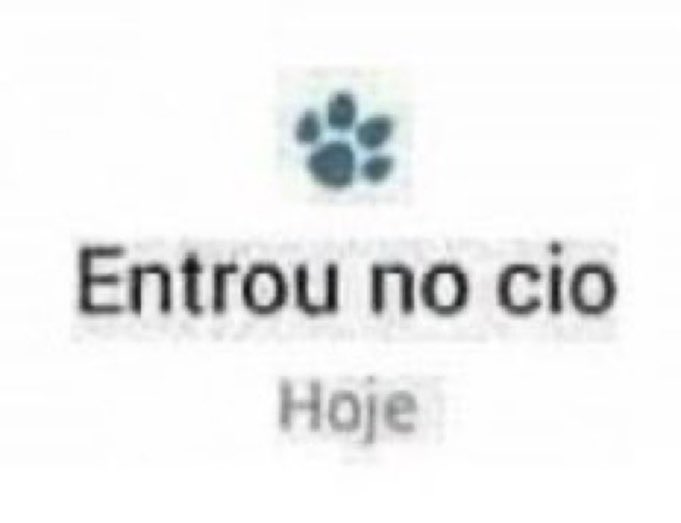 Jotta BG (@jottabg) on Twitter photo 