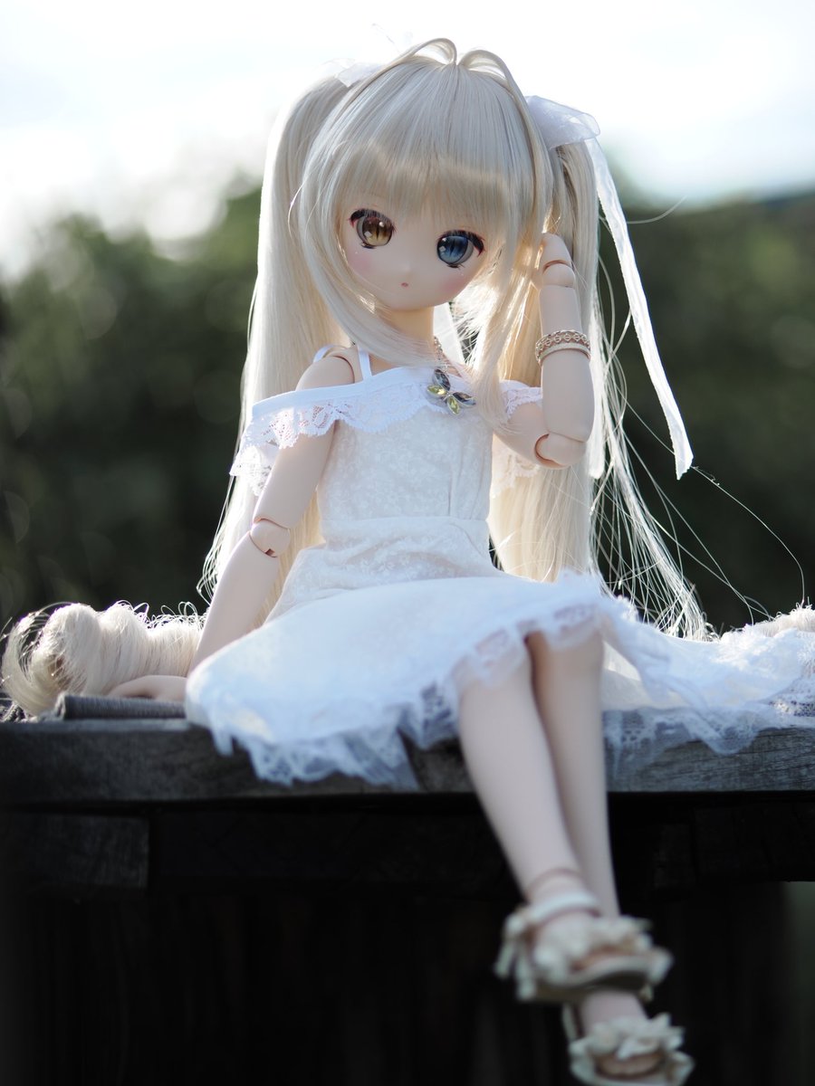 「おはよう、今日も１日がんばろう」
#おはドル 
#うちのこかわいい