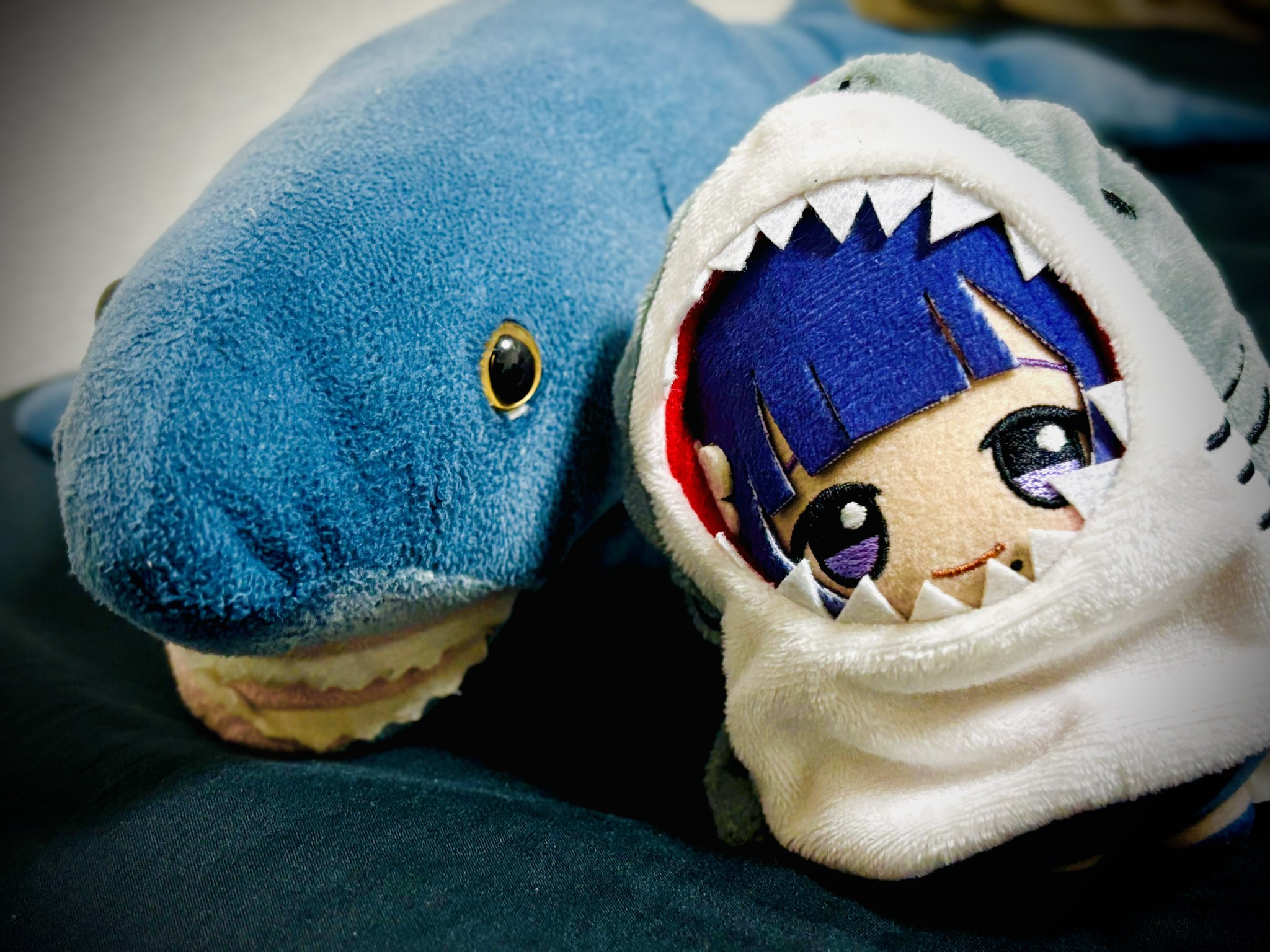 ⭐︎地球のあくび　ぞう　ぬいぐるみ ぬぬぬい on X: 