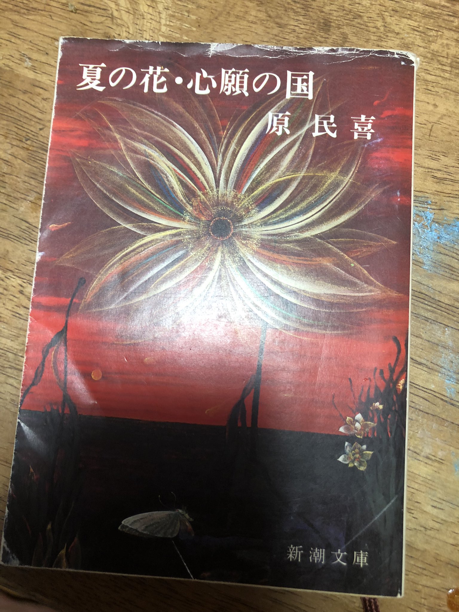 もし…こんなことがおこったら Amazon | すみっコぐらし おせわでいっぱいアプリがプラス すみ