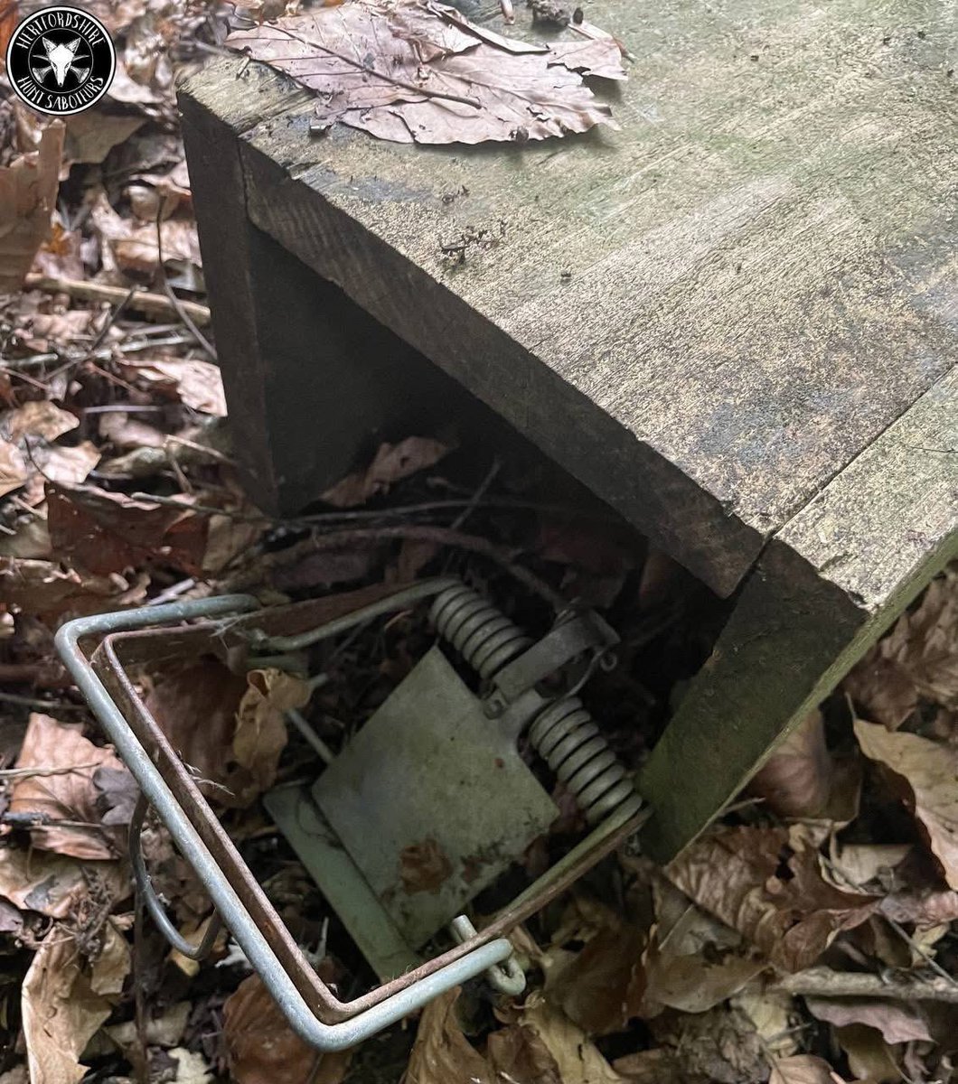 Hertfordshire Hunt Saboteurs (@hertshuntsabs) on Twitter photo πππ πππ ππππ ππππ ππ ππππ ππππ ππ
MK4 Fenn Trap made in England. 
Indiscriminate so doesnβt care who it traps and kills. 
If you want to support us you can here: ko-fi.com/hhsabs πππ πππ ππππ ππππ ππ ππππ ππππ ππ
MK4 Fenn Trap made in England. 
Indiscriminate so doesnβt care who it traps and kills. 
If you want to support us you can here: ko-fi.com/hhsabs