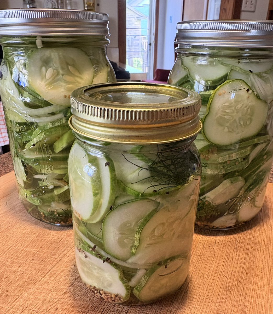 Lots of cukes. Refrigerator dill pickles💚🥒