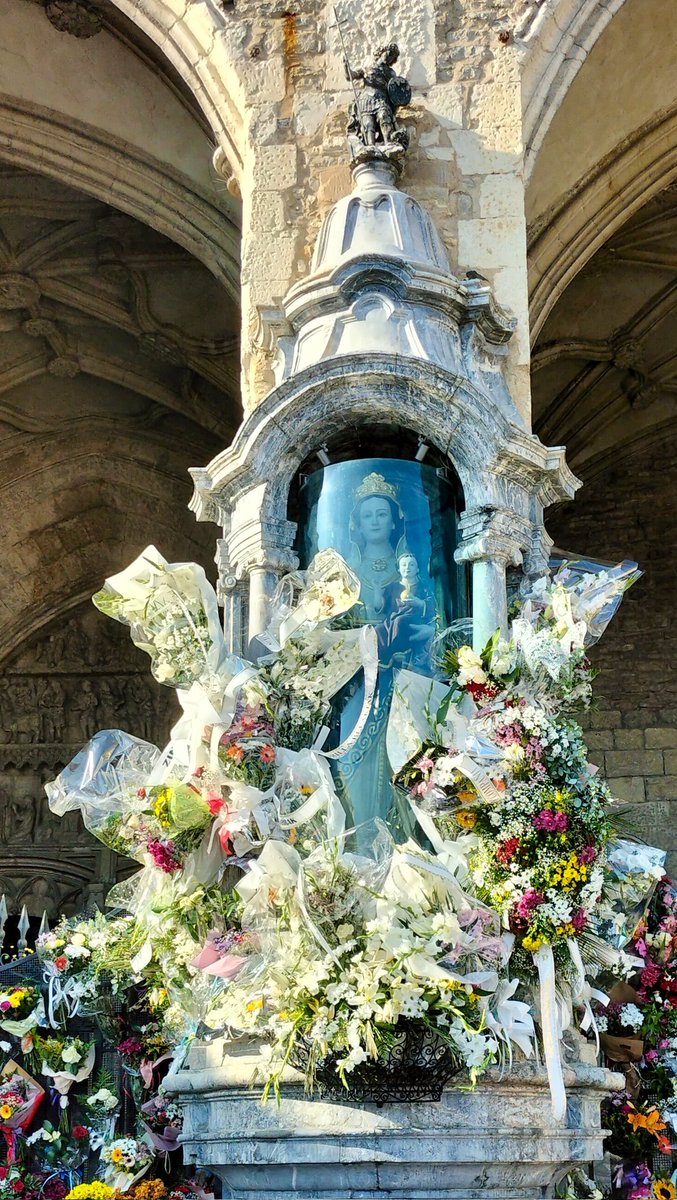 #LaBlanca2025 #VirgenBlanca