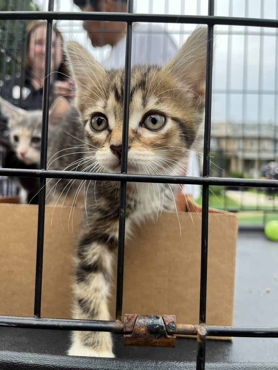 Come on down to Emery Rec. at 5701 Georgia Ave. Nw! We have resources, food, good music and TONS of things for kids to do. Here till 8! See you soon.