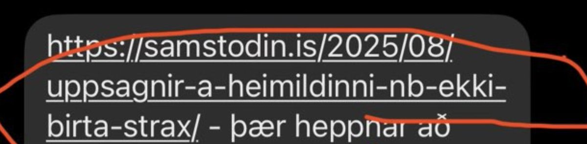 Hvað segirðu Samstöð? Átti þessi fréttamoli ekki að fara strax í loftið?