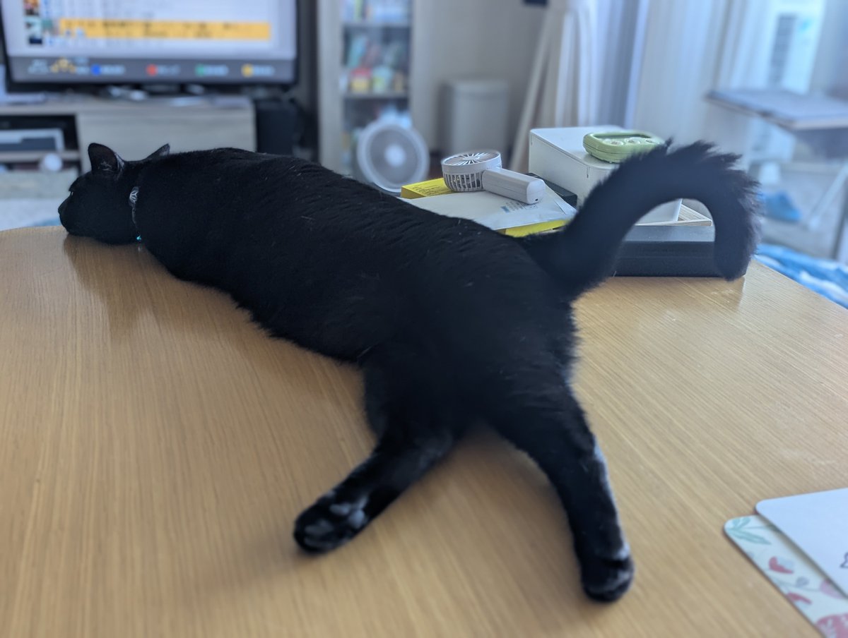 食べちゃう(黒猫) 今日は少し時間があったからお買い物して外食してきました♪
