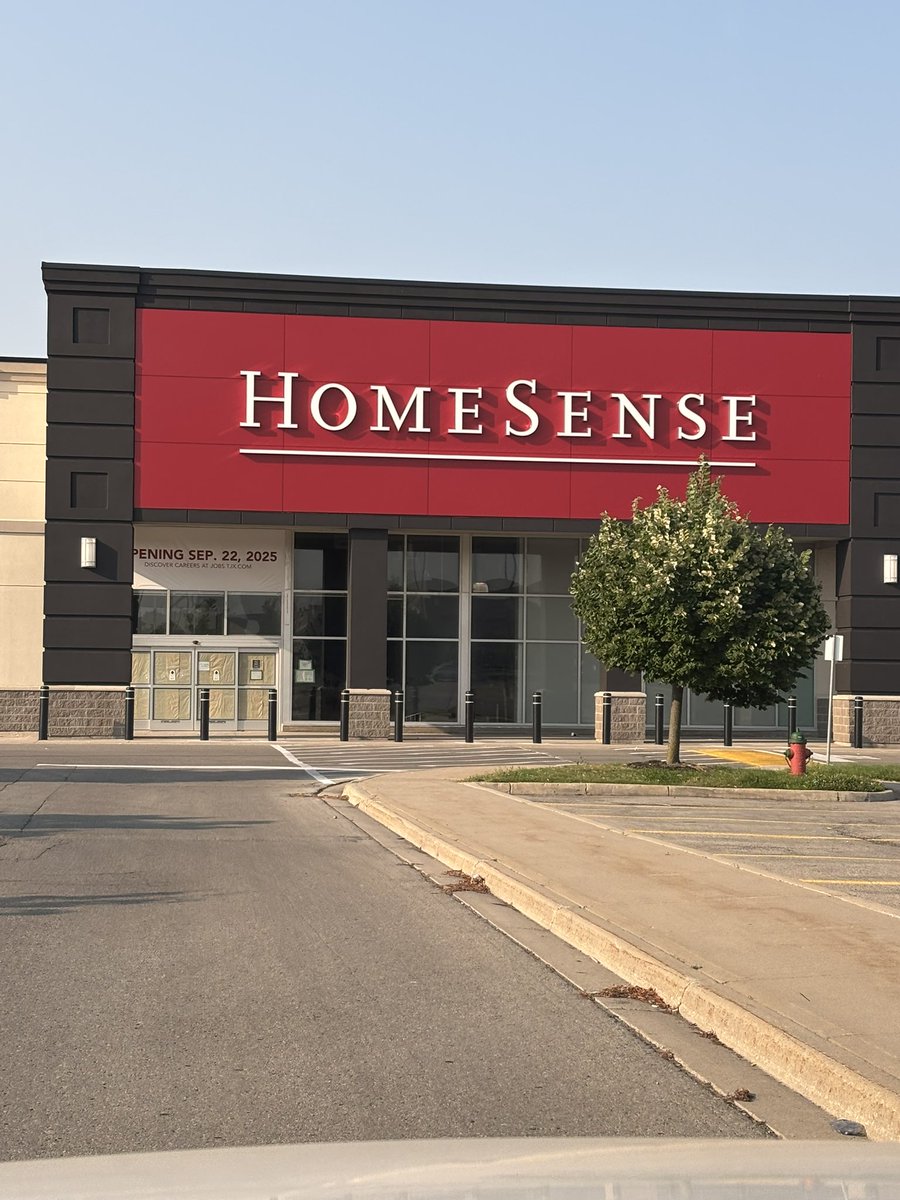 Laura Stewart tweet media