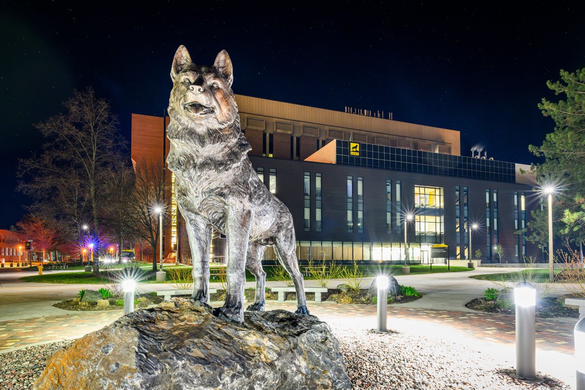 mtu_computing's tweet image. We're counting the days until we're all together again, Husky Nation. We can hardly wait!
💛 🖤
#MichiganTech #