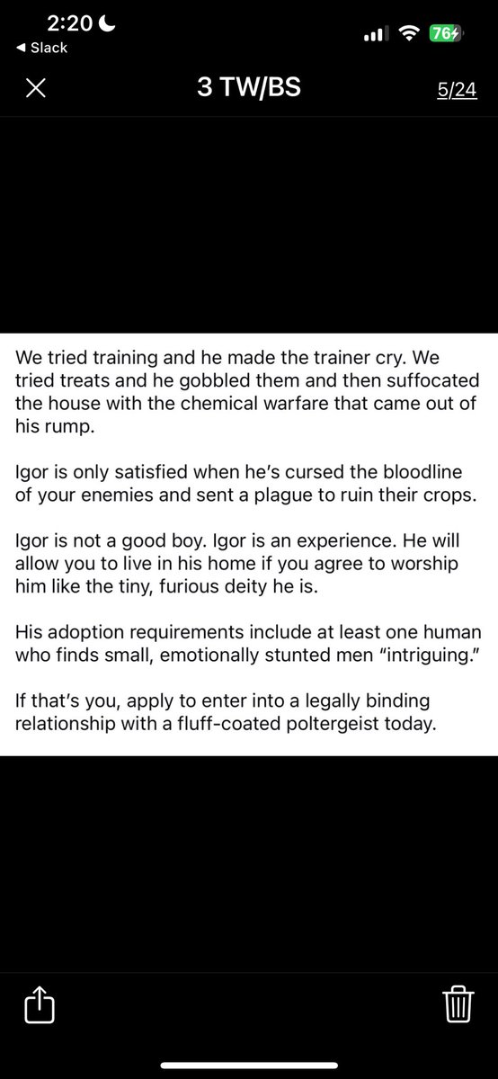 This is Igor, but you may know him better as "a sentient middle finger wrapped in a cloud of fur." He went viral last month when his rescue posted a brutally honest adoption bio about him. But as it turns out, honesty is the best policy. Igor garnered thousands of admirers and