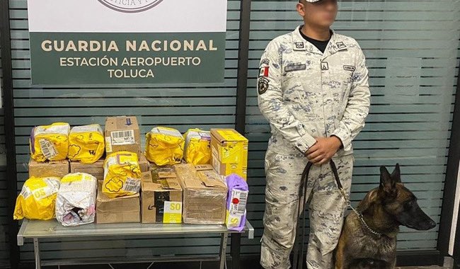 Finalmente, esta última iniciativa, marca que se basa en la efectividad de los binomios de hasta 90% en detección de drogas y explosivos, según la Organización Mundial de Aduanas
Dale click 📲 asisucede.com.mx/presentan-inic…