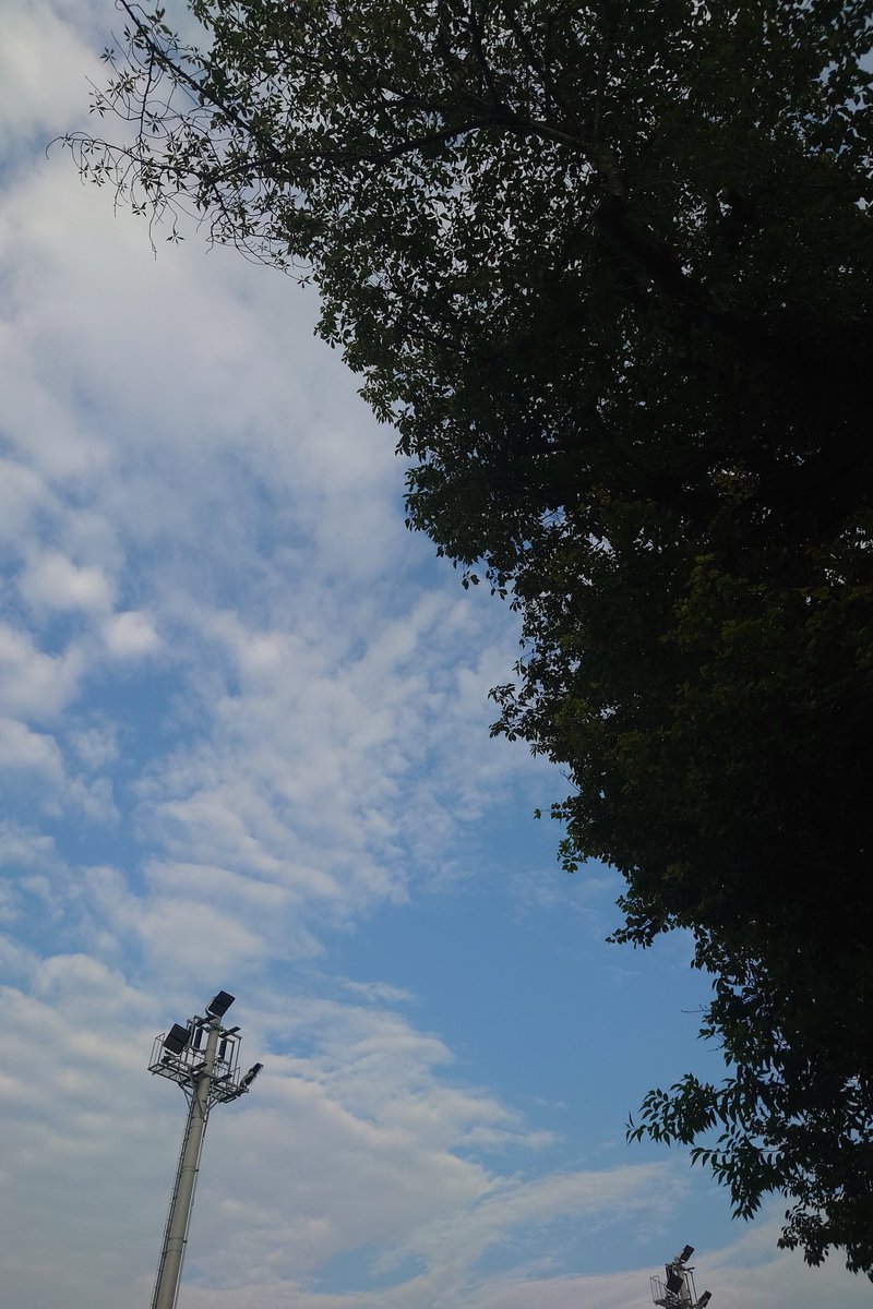 HABOZOU_KG's tweet image. 2025年8月6日(水)
World Wide Webの日

おはようございます
薄曇りで日差しはやわらかだけど
むしむり、じとじと
と言う感じ

#WorldWideWebの日
#WorldWideWeb
#WWW
#写真好きな人と繋がりたい
#浦和の空
#リモートワーク
#xperia
#xperia1II