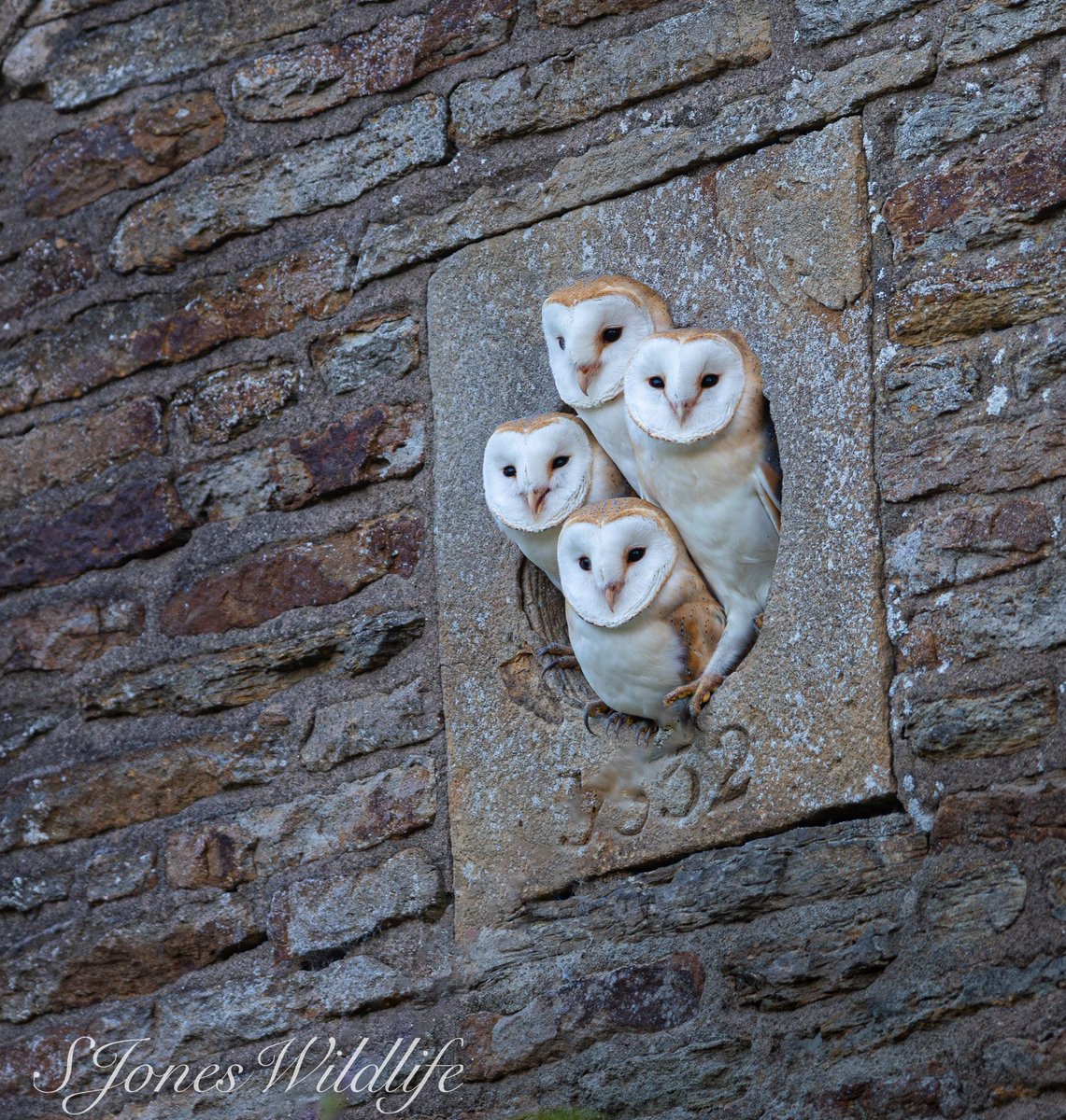 Stephen jones tweet media