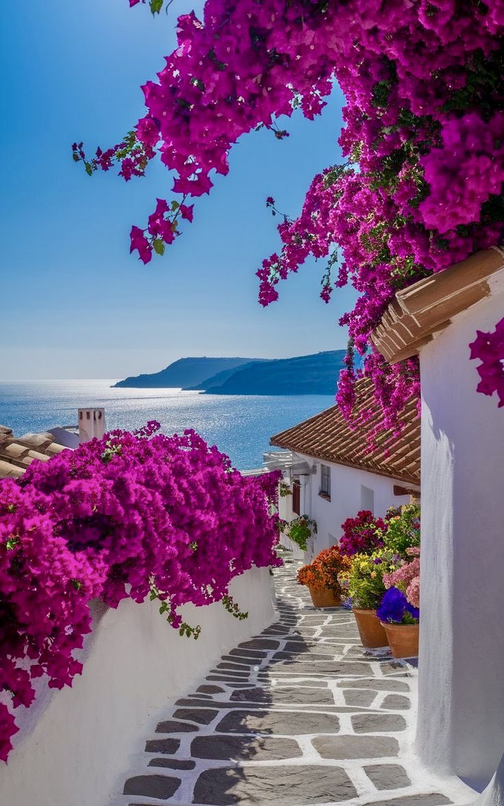 helena_mar19's tweet image. Good Morning 
Have a Beautiful Day

(Greece,📷 Pinterest)