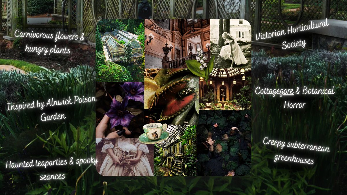 Proudly presenting my new guide for my revised manuscript w/ ✨Big 5+✨ editor interest!

In the life of a Victorian noble, society will rip you to shreds. But in this Iris-istibly deadly mystery, so will the flowers that lurk around Greer Manor. . . 🥀 
 
#questpit #MG #Q #H #MY