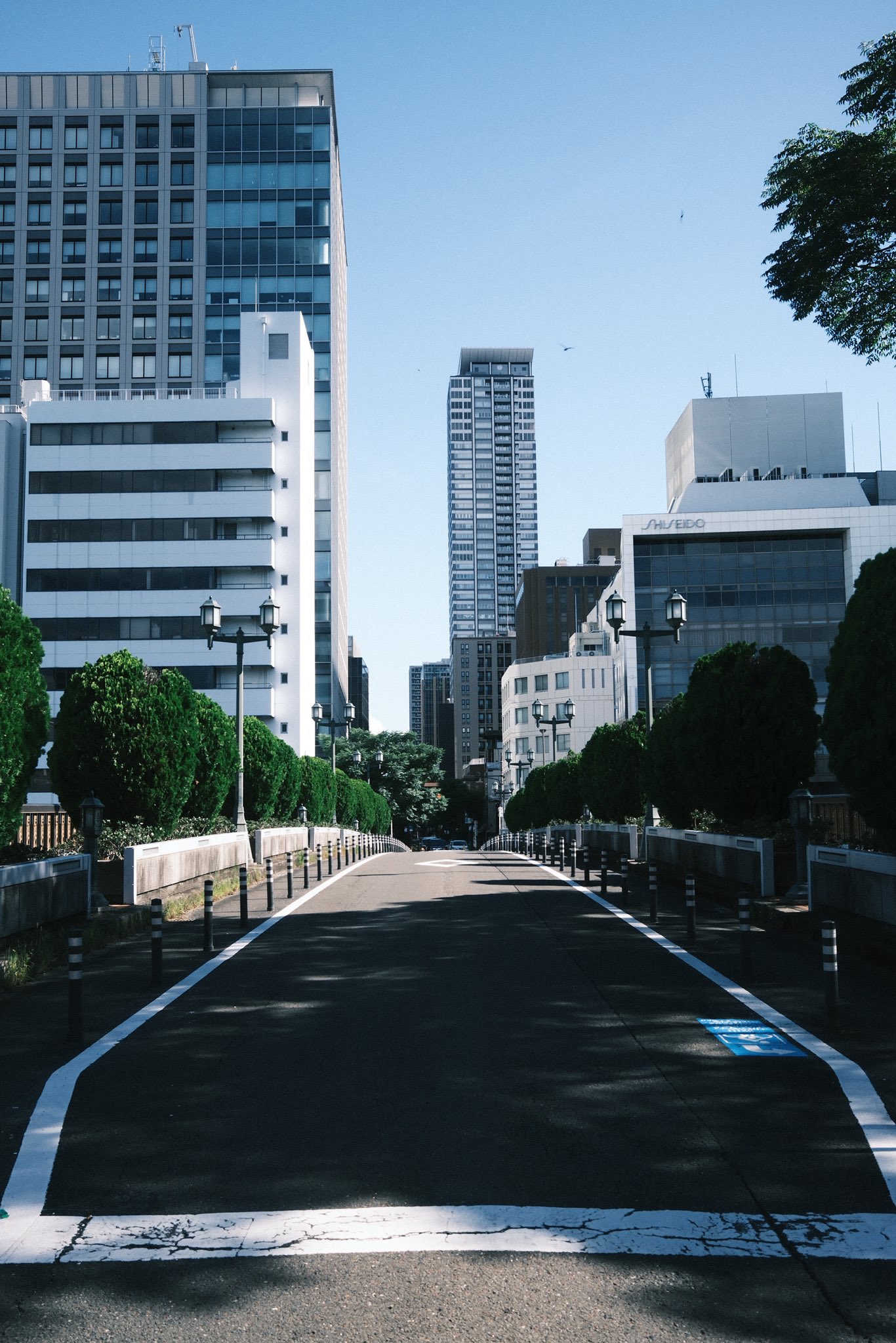 既視の街 海の見える横断歩道のその先で、彼がこちらを見つめていた