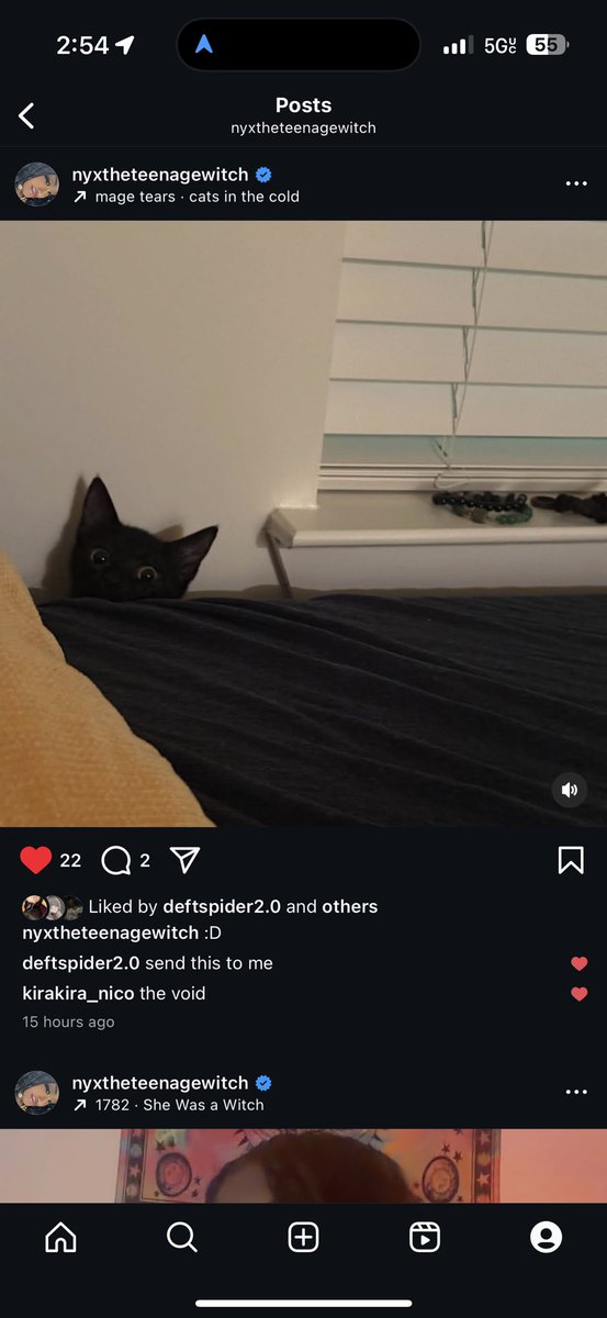manifesting my cat was the best decision