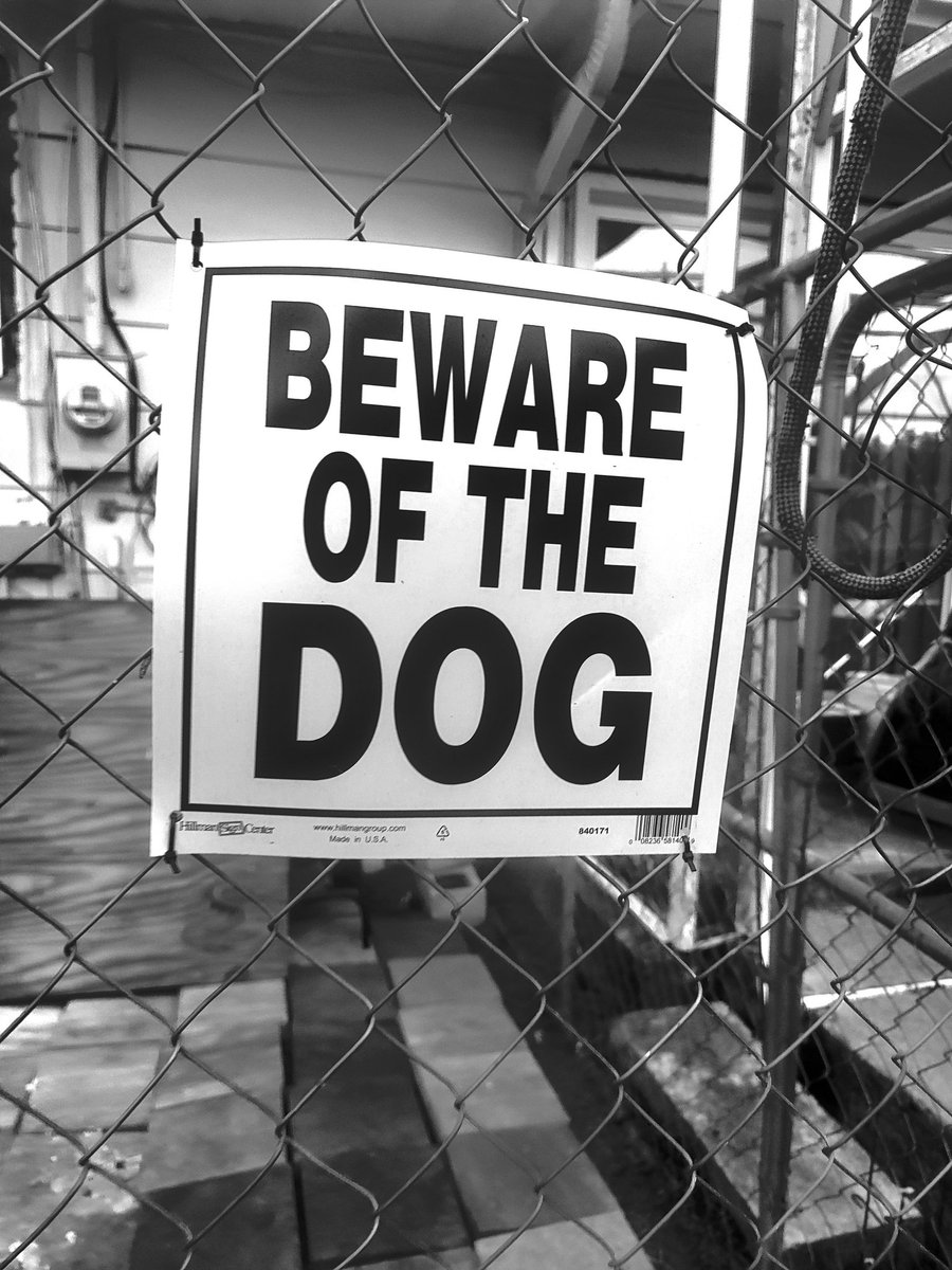 LIMITLESSDES1's tweet image. MUTT.

#style #stylegram #stylediaries #stylefashion #styleguide  #styled #stylediary #styleicon #styleformen