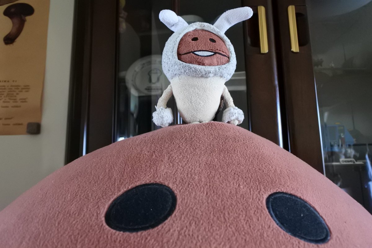 くま太郎さん専用 展示品 ブラザー ディズニー くまのプーさん コンピューター