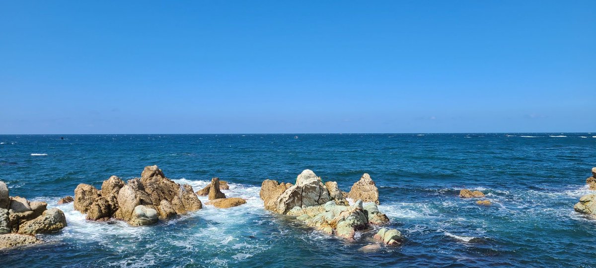 おはようございます！
本日は #水泳の日 です。
スローガンは #泳いでつながる笑顔の輪 です。
まだまだ暑い日が続きますので、思いっきり水泳を楽しみたいですね！
#企業公式相互フォロー