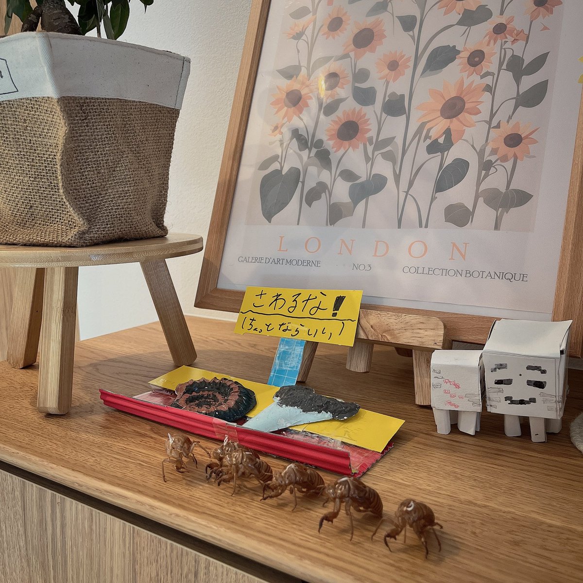 玄関の世界観を
ことごとく壊しに来る子供達👦🏻👦🏻

手作りのハッピーガスト → ﾝﾝﾝ…まだ可愛いからええか…

手作りの化石レプリカ → ちょっとならいいんかい…

🆕 セミの抜け殻 → ｷｯｼｮｵｵｵｵｵｵｵｵｵｵｵｵｵｵｵｵｵｵｵ

次男やこんなんするのは次男坊🥹

おしゃれ玄関は無理🙂‍↔️