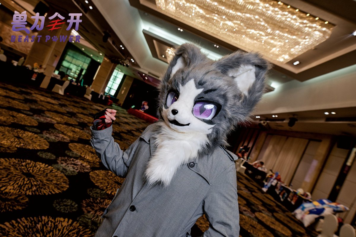 前几天去附近的展子，难得有张正常的照片