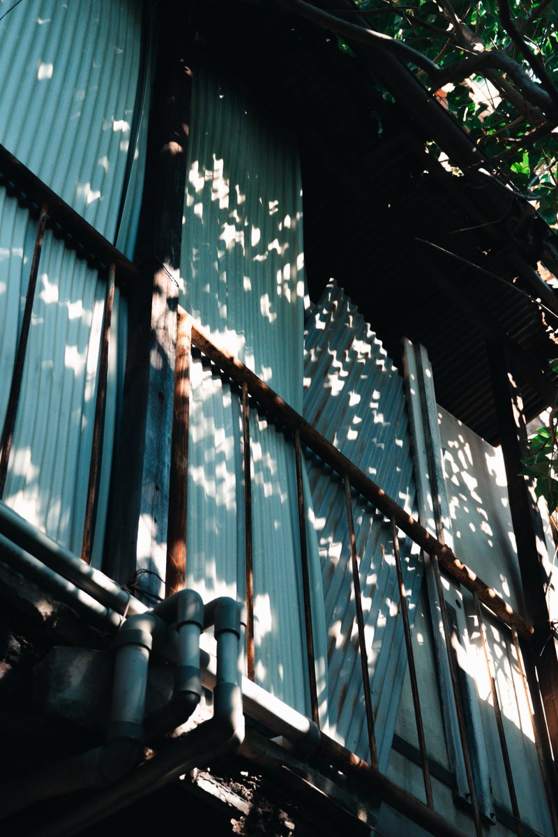 meeeetsu's tweet photo. 35mm https://t.co/hkOWtBzftj