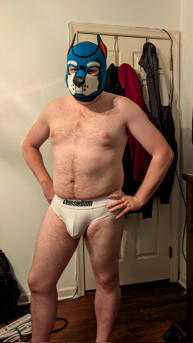 ScoobyMutt's tweet photo. Almost forgot about #NationalUnderwearDay  👀 https://t.co/dVHqx6QCZZ