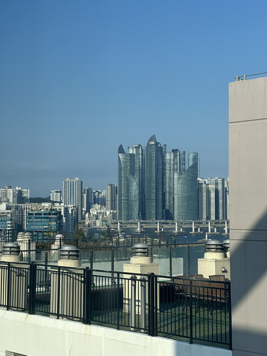 P in 🌍 tweet media