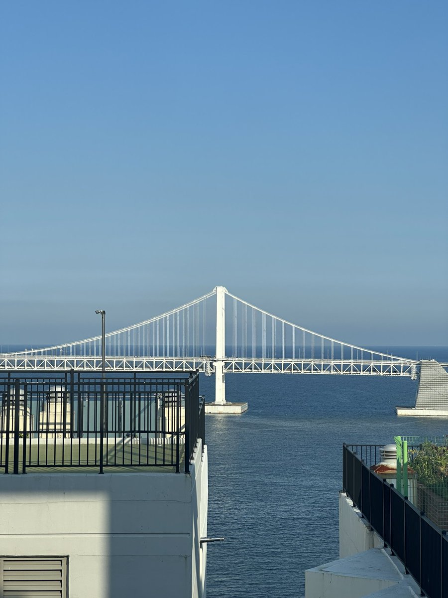 P in 🌍 tweet media