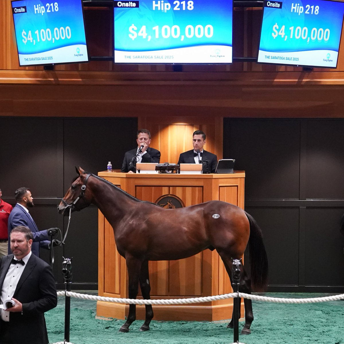 spendthriftfarm's tweet photo. What a night. What a stage.

The 2 highest-priced yearlings @FasigTiptonCo Saratoga, and 4 million-dollar colts on the night for the great INTO MISCHIEF.

This is what #IntoGreatness looks like. 👏

A special thanks to Don Alberto, @WhiteBirchFarm_, @coolmoreamerica, @jstewartrr, @resracingky, @StonestreetFarm, Grayson Farm, Tommy Town Thoroughbreds, and all of the hard-working consignors for making this another historic day for #TheDerbySire. 🌹