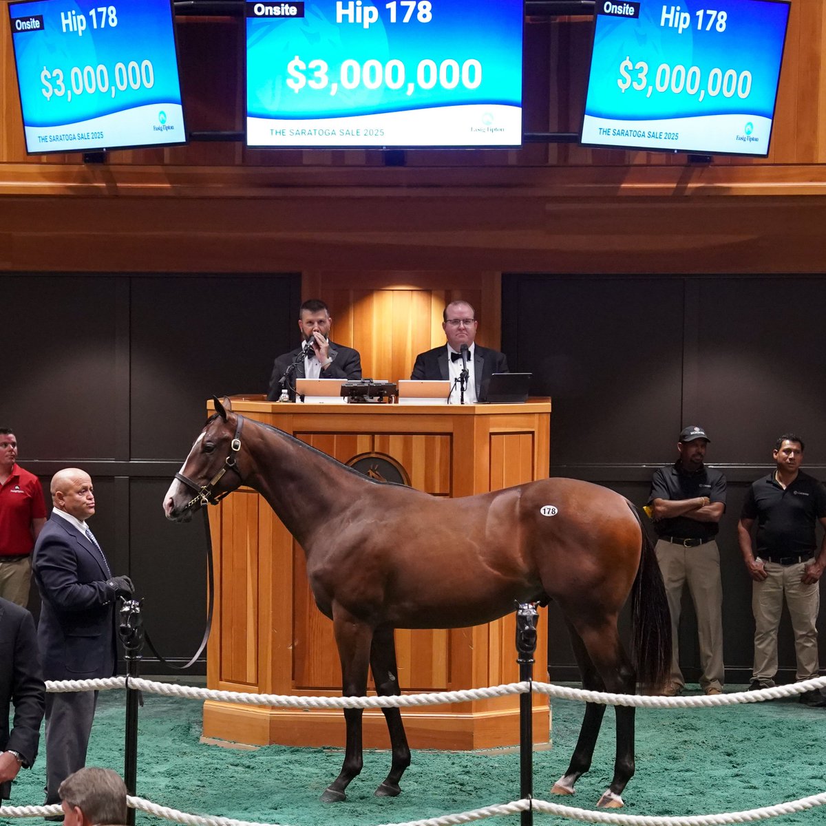 spendthriftfarm's tweet photo. What a night. What a stage.

The 2 highest-priced yearlings @FasigTiptonCo Saratoga, and 4 million-dollar colts on the night for the great INTO MISCHIEF.

This is what #IntoGreatness looks like. 👏

A special thanks to Don Alberto, @WhiteBirchFarm_, @coolmoreamerica, @jstewartrr, @resracingky, @StonestreetFarm, Grayson Farm, Tommy Town Thoroughbreds, and all of the hard-working consignors for making this another historic day for #TheDerbySire. 🌹