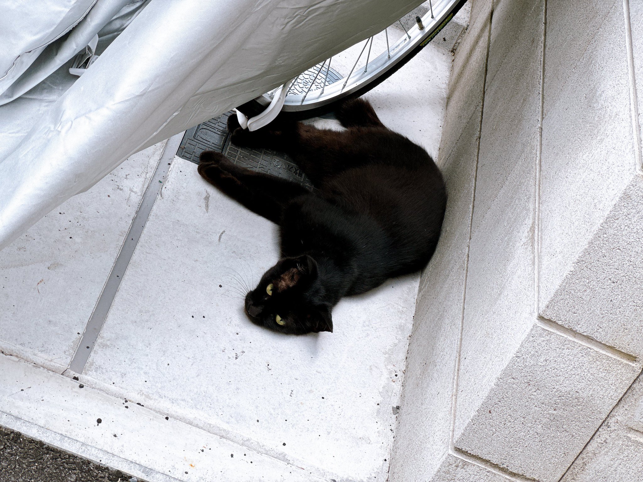 黒猫 HONDA on X: 