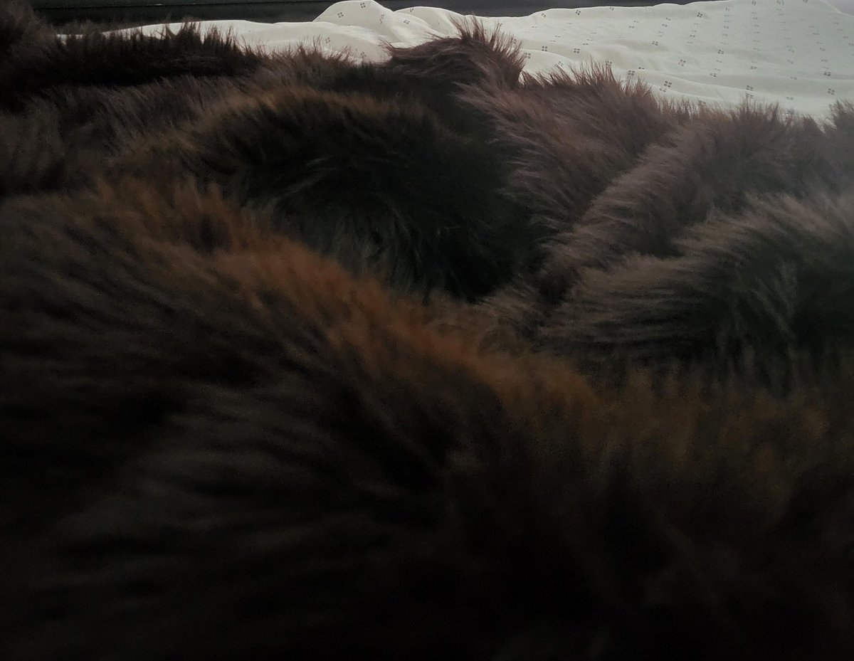 My cat is using camouflage tactics to get me to pet them.
Clever girl...