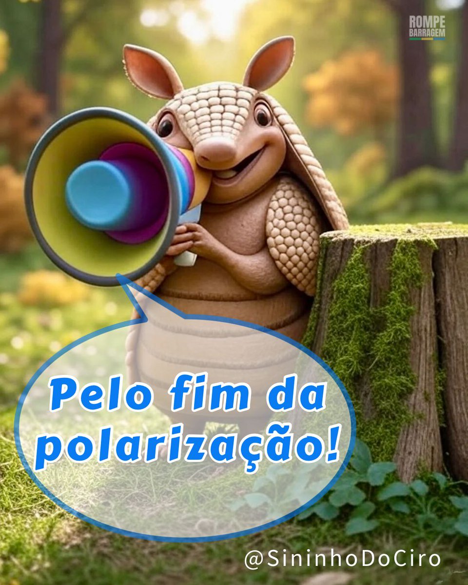 SininhoDoCiroGomes tweet media