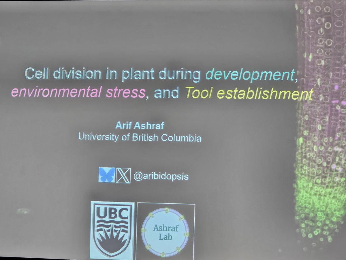 raju_aafc's tweet image. Thank you, @aribidopsis for the insightful talk on cell division and root development under environmental stress. @Jessicaa_Orr @usask @UBCBotany #cold #salinity #drought