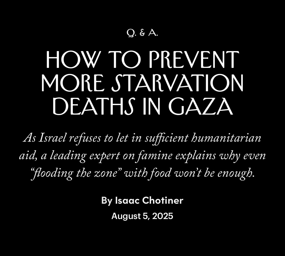 IChotiner's tweet image. New Interview: newyorker.com/news/q-and-a/h…
