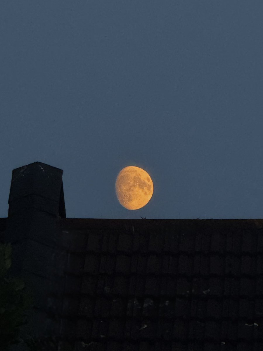 moon was golden today