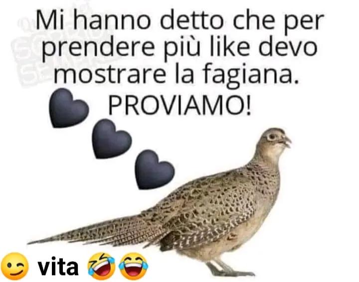 Vabbè come avete capito a me piace scherzare 
Perciò chiudo la serata con questo ultimo post simpatico .
Augurando a tutti voi una buona notte ...🤣👋