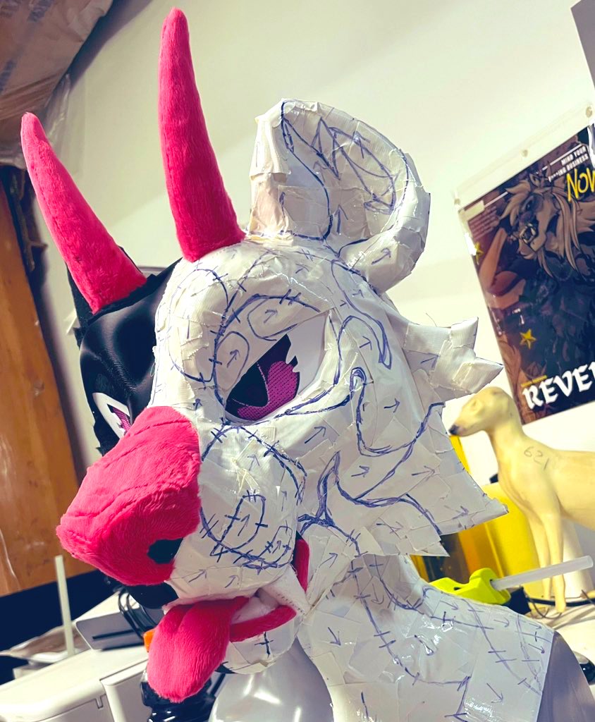 This is my first kitty suit and I immediately make him do the stink face 😝