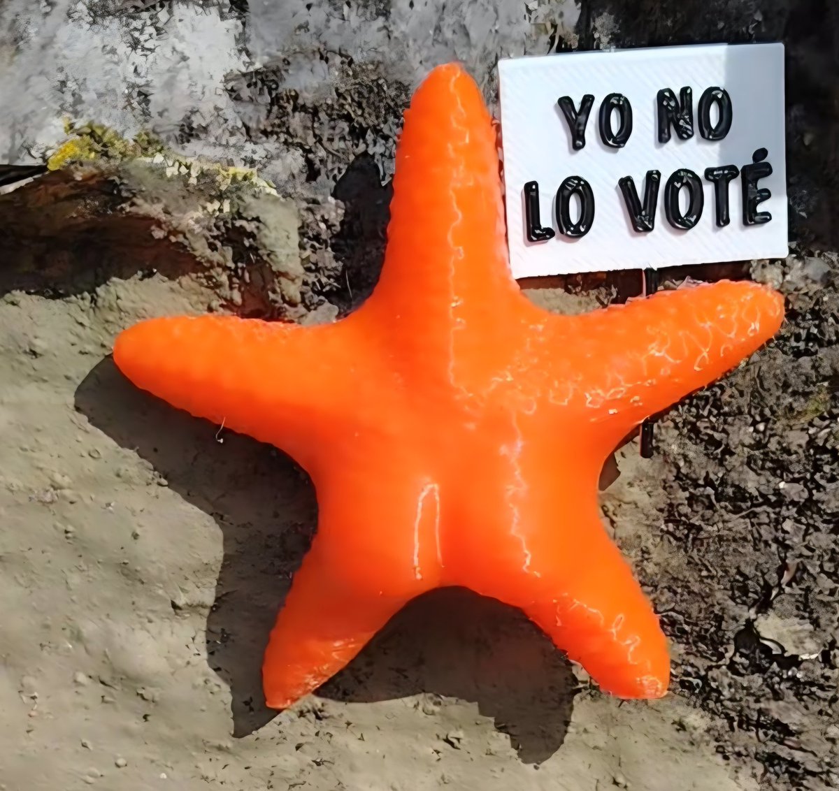 Les dejo la estrella culona con conciencia de clase
Para mejorar la cabeza de los desclasados
No cortes la cadena 😂 😂 😂 😂 😂