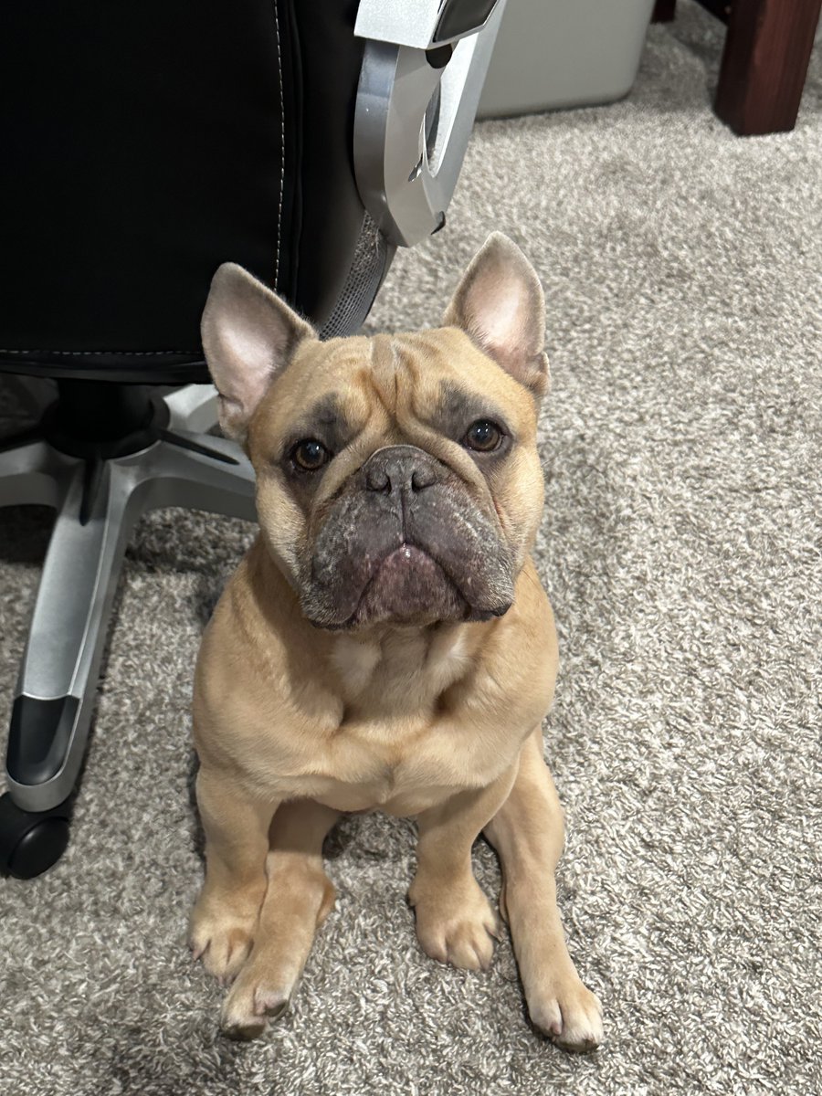 my best friend furever 🐾🤍