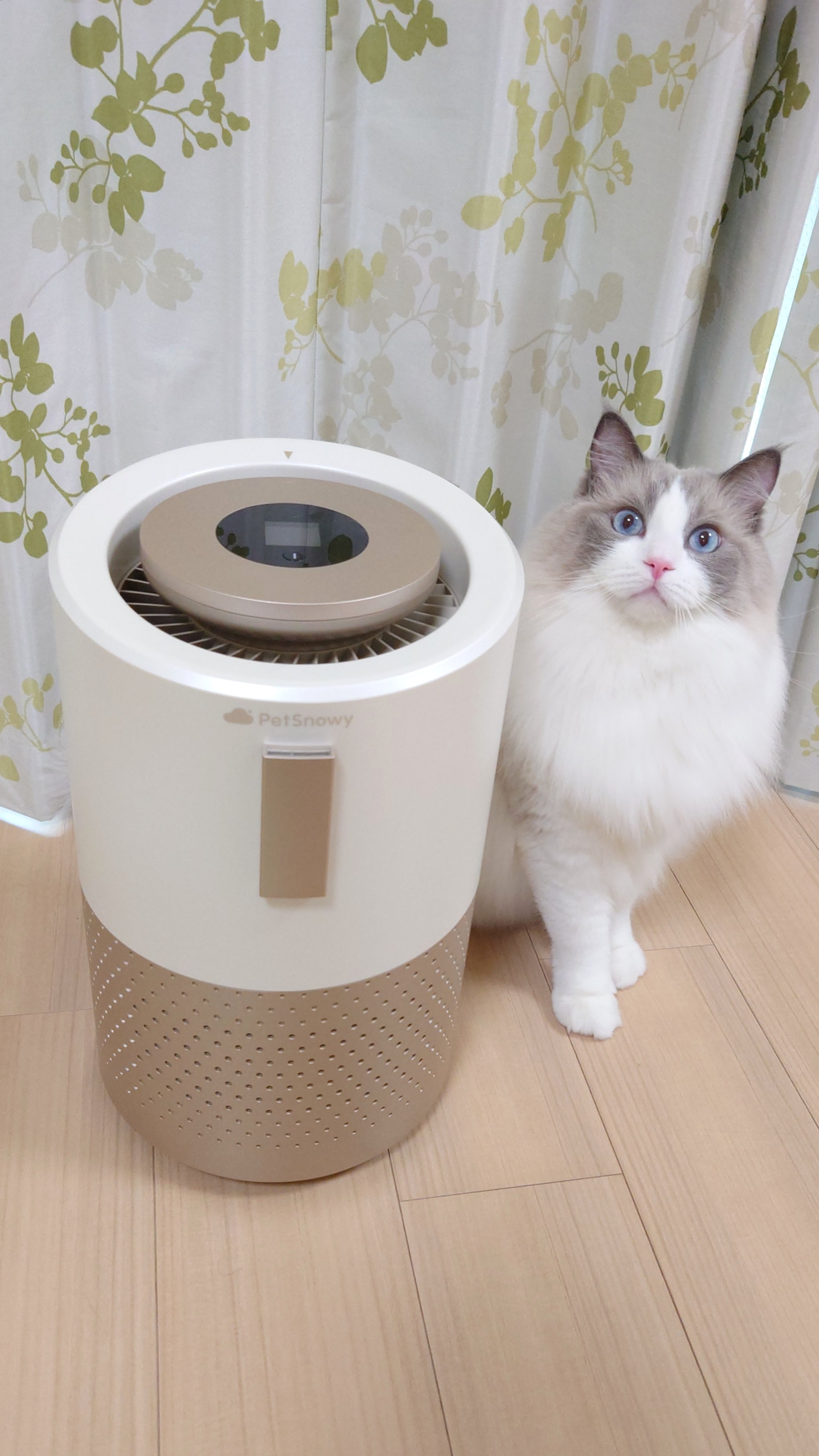 PetSnowy | ペット用品😺🐶 (@PetsnowyJapan) / X