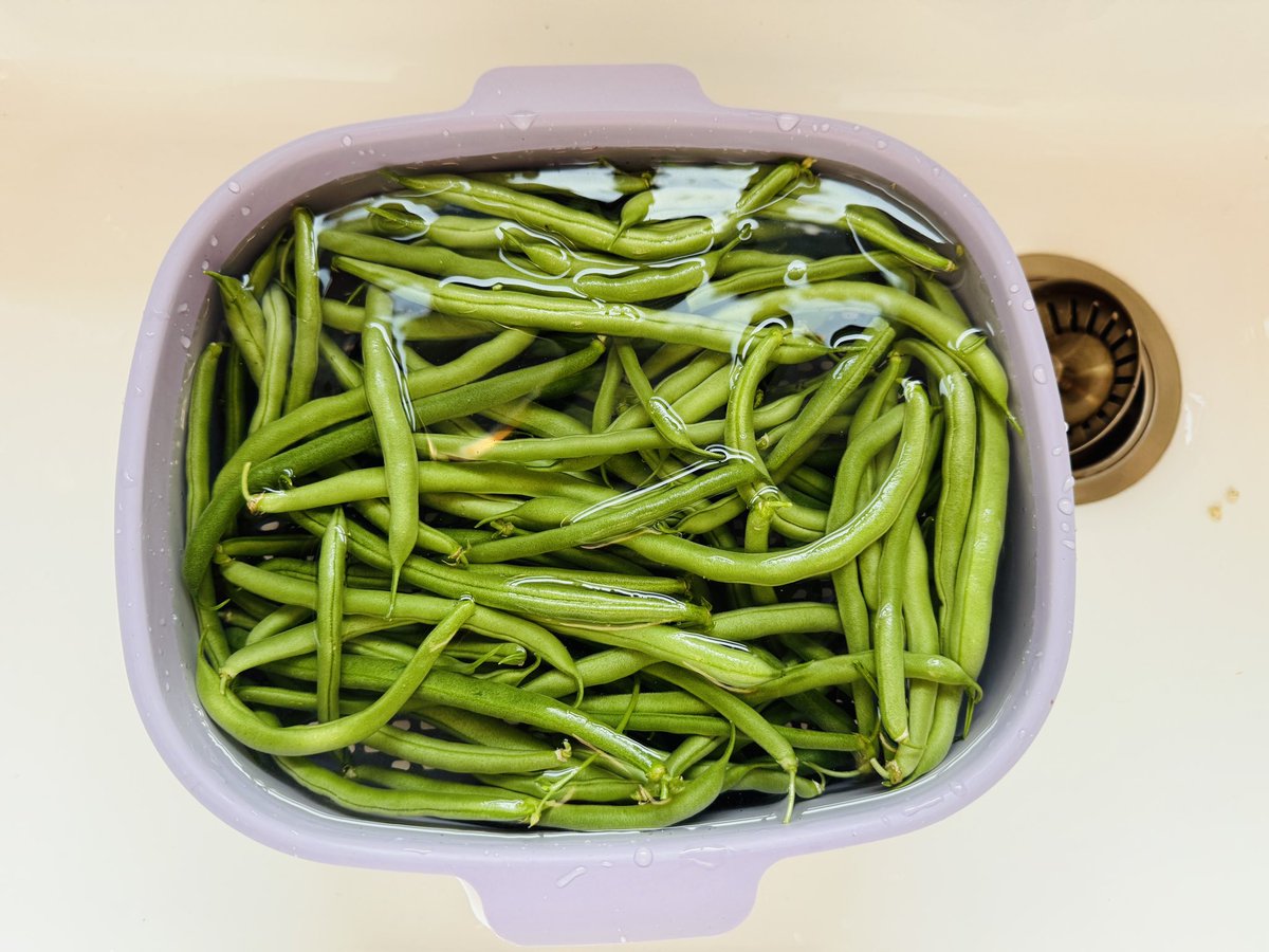 We were only away for two days and I picked a huge amount of green beans before we left! This is the biggest &amp; best looking tomato we’ve ever grown.  Definitely having a BLT tomorrow. 😍<a href="/ChrisWigent/">Chris Wigent</a>