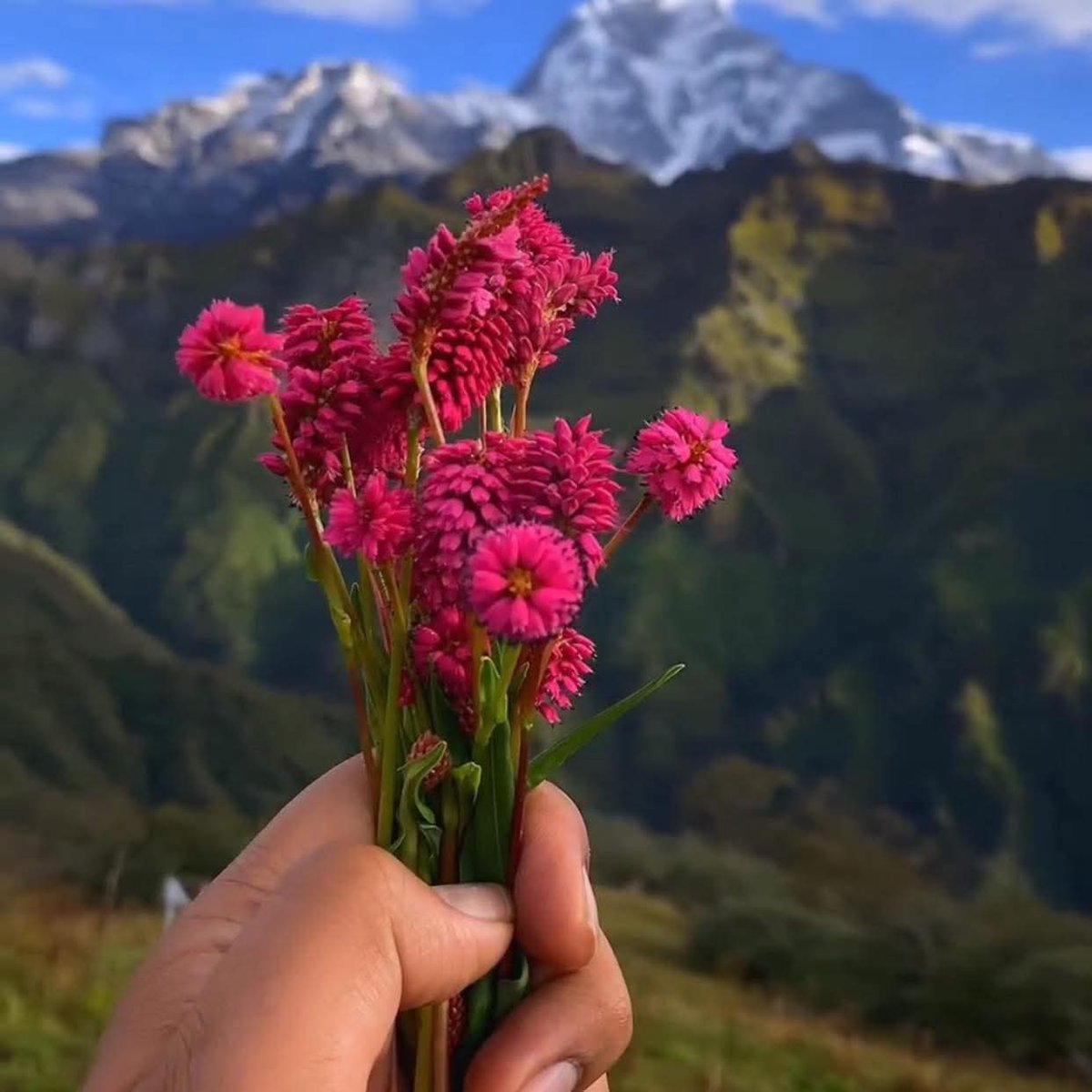 इमानदारीता एकदमै महगो उपहार हो त्यसलाई 
सस्ता मानिसहरुसङ्ग अपेक्षा नगर्नुहोस् ।🙏🌸
#शुभ_प्रभात🙏