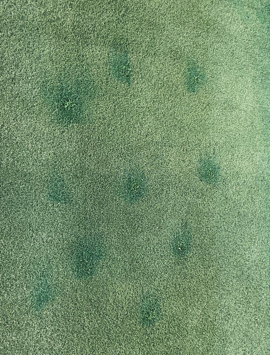 Navdeep Godara tweet media