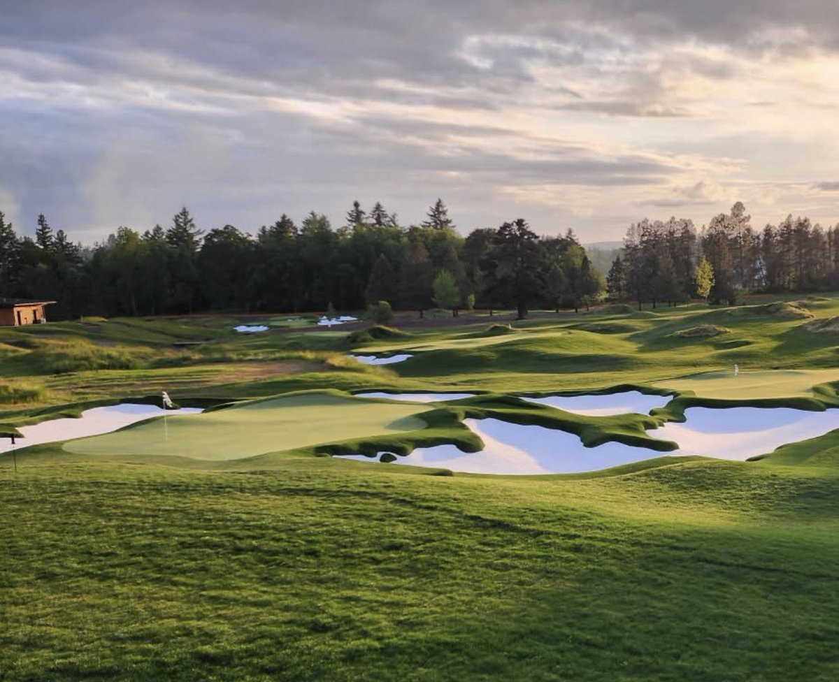 CelebrityGreens tweet media