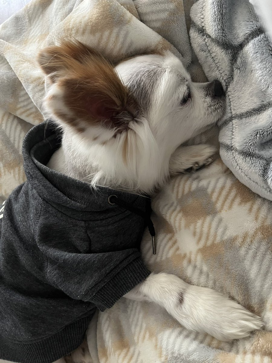 Napping before we water the gardens